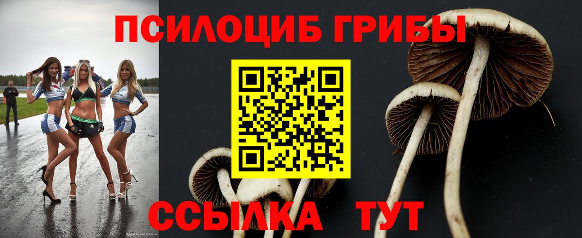 как найти наркотики  Галлюциногенные грибы Psilocybine cubensis  Вход с VPN  Асбест  Псилоцибиновые грибы мицелий 