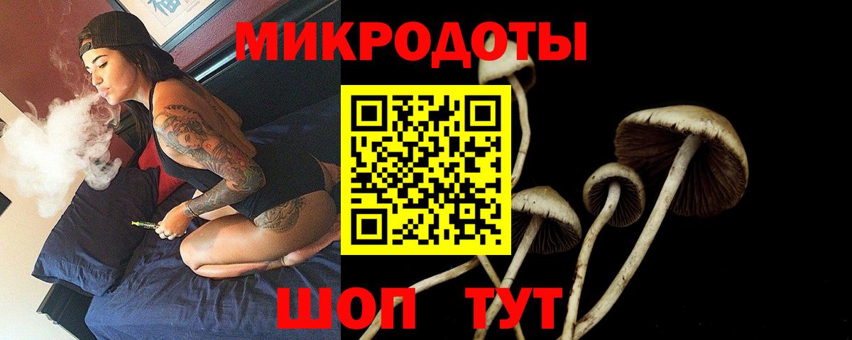 Псилоцибиновые грибы GOLDEN TEACHER Асбест
